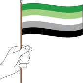 Aromantic Handwaver Flag 300mm x 150mm