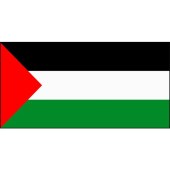 Palestinian Flag