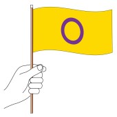 Intersex Handwaver Flag 300mm x 150mm (Knitted)