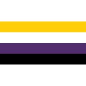 Non Binary Flag