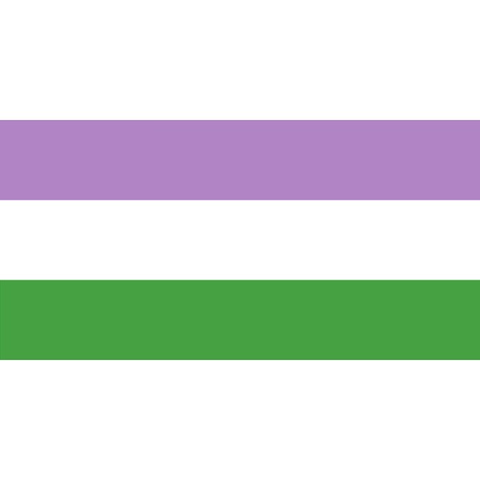 Gender Queer Flag 