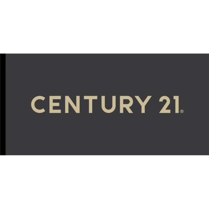 Century 21 Real Estate Corporate Flag