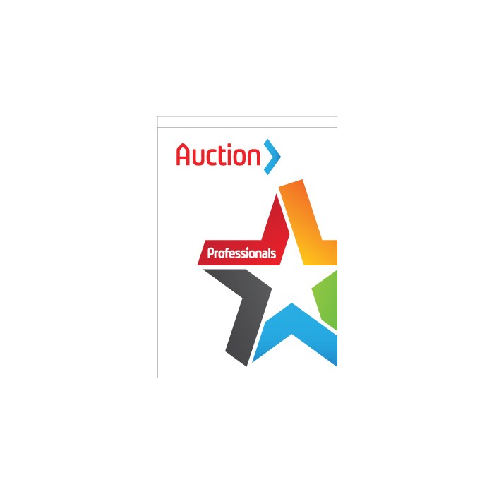 Professionals Auction (2016)