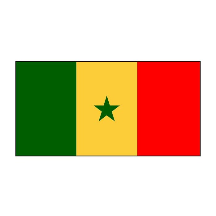 Senegal flag