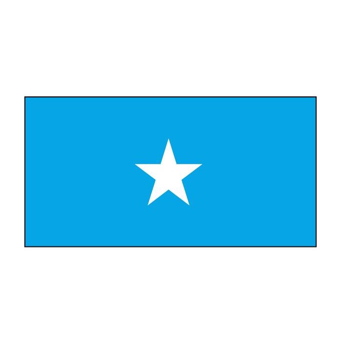 Somalia flag