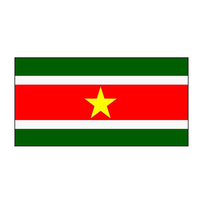 Suriname flag