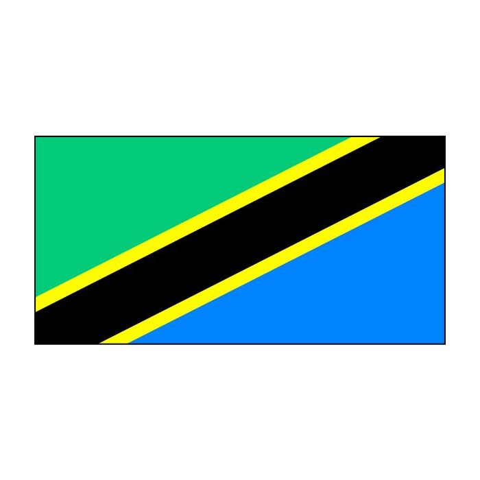 Tanzania flag