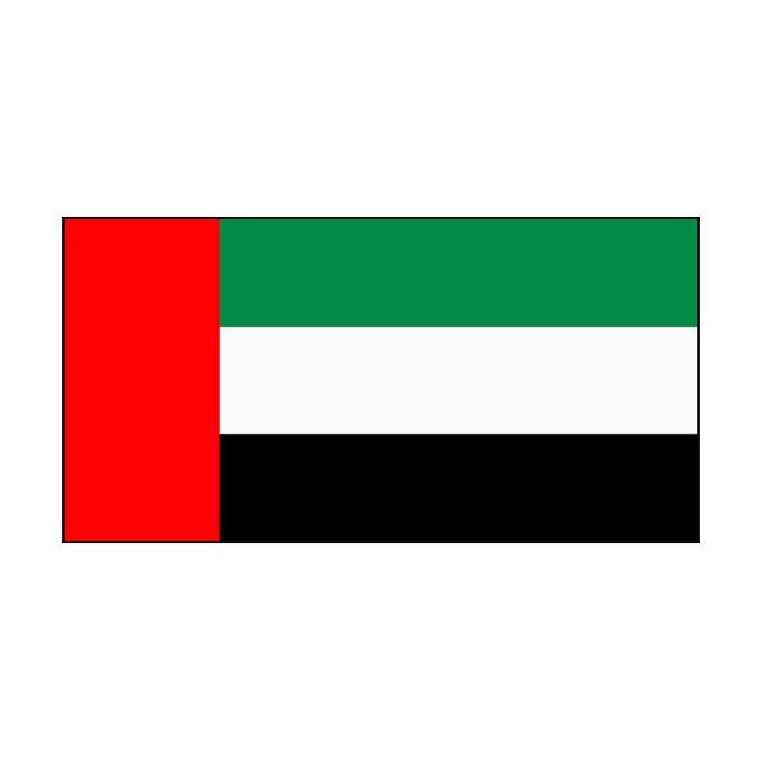 United Arab Emirates flag