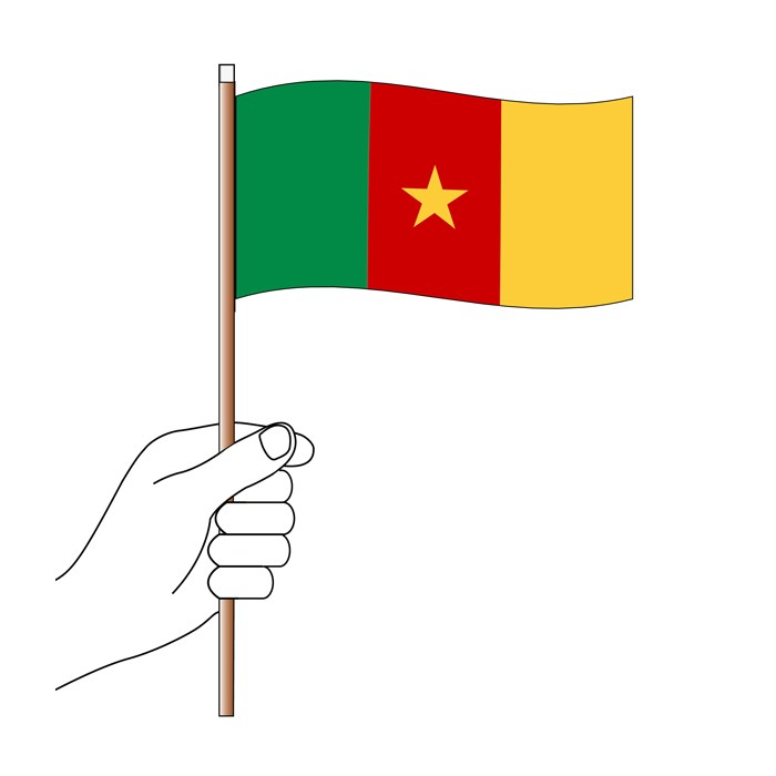 Cameroon Hand Flag Handwaver