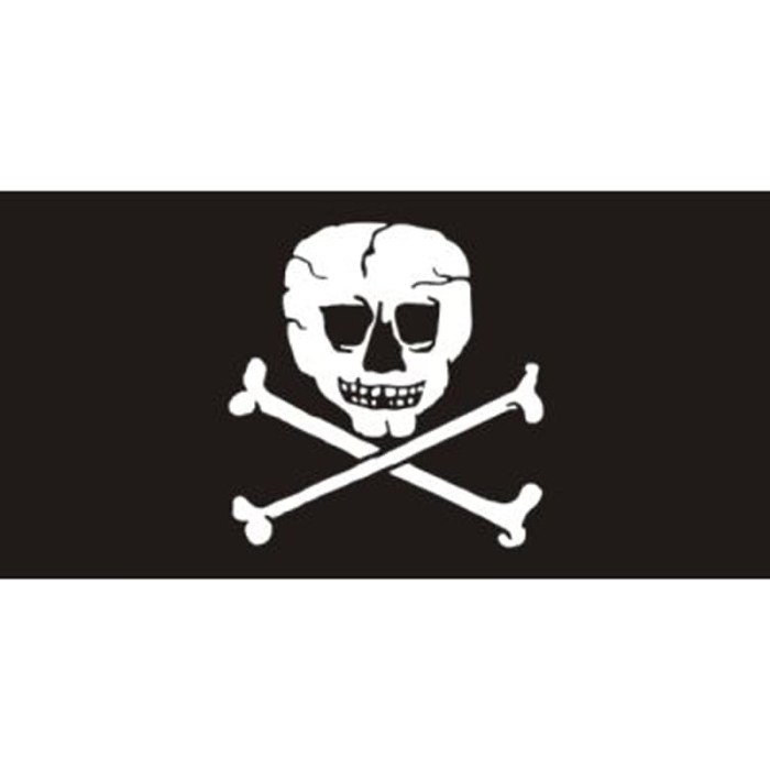 Pirate Flag