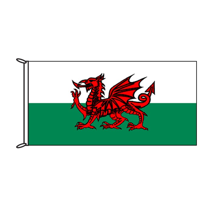 Welsh Flag